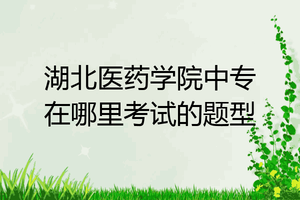 湖北医药学院中专在哪里考试的题型