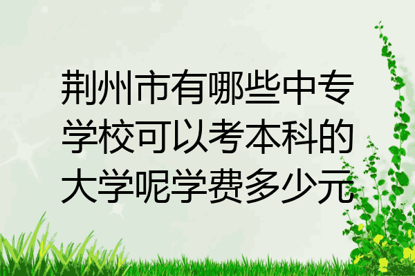 荆州市有哪些中专学校可以考本科的大学呢学费多少元