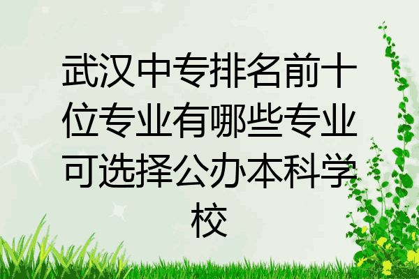 武汉中专排名前十位专业有哪些专业可选择公办本科学校