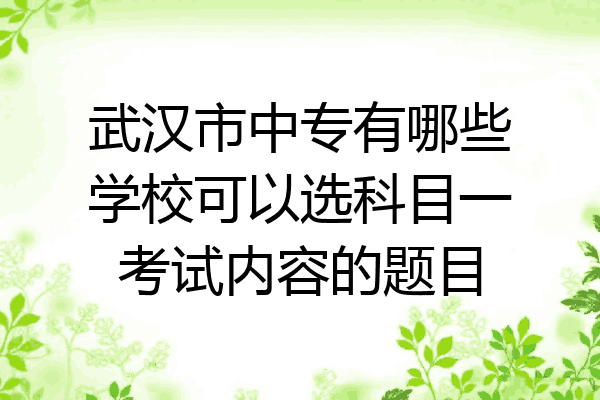 武汉市中专有哪些学校可以选科目一考试内容的题目