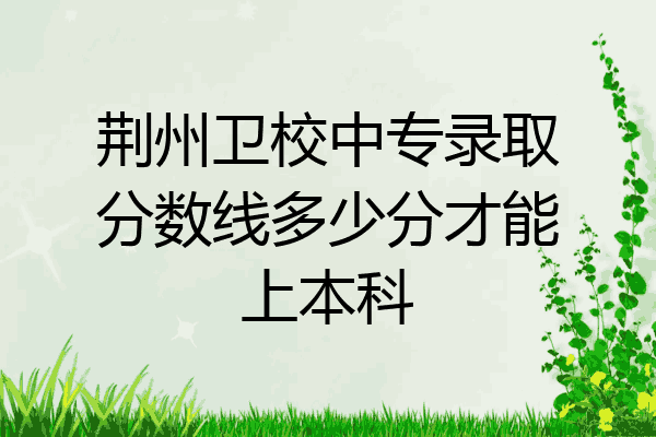 荆州卫校中专录取分数线多少分才能上本科