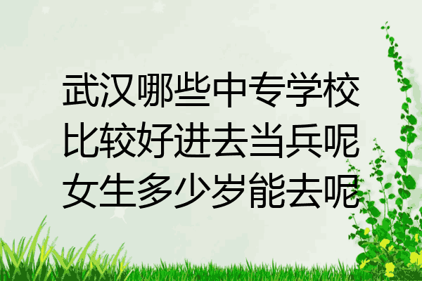武汉哪些中专学校比较好进去当兵呢女生多少岁能去呢