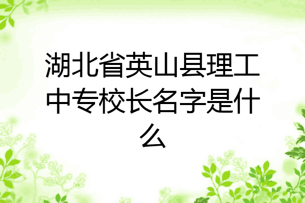 湖北省英山县理工中专校长名字是什么