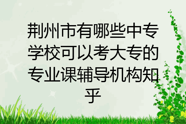 荆州市有哪些中专学校可以考大专的专业课辅导机构知乎