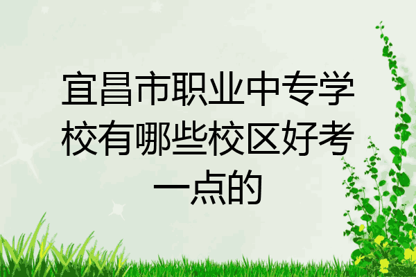 宜昌市职业中专学校有哪些校区好考一点的