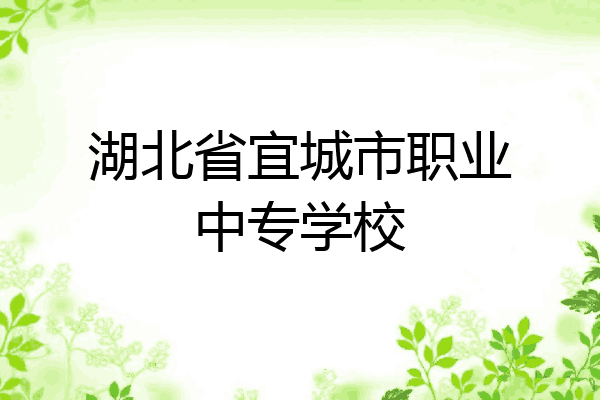 湖北省宜城市职业中专学校