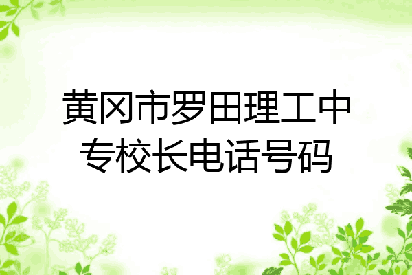 黄冈市罗田理工中专校长电话号码