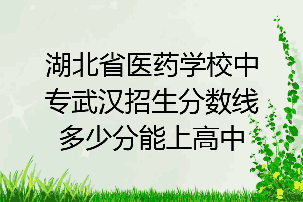 湖北省医药学校中专武汉招生分数线多少分能上高中