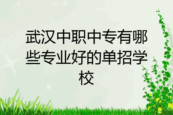武汉中职中专有哪些专业好的单招学校