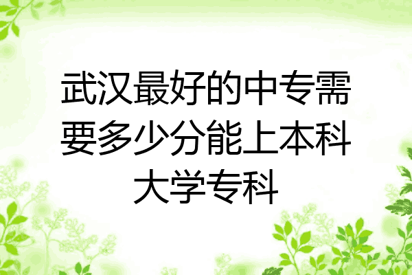 武汉最好的中专需要多少分能上本科大学专科