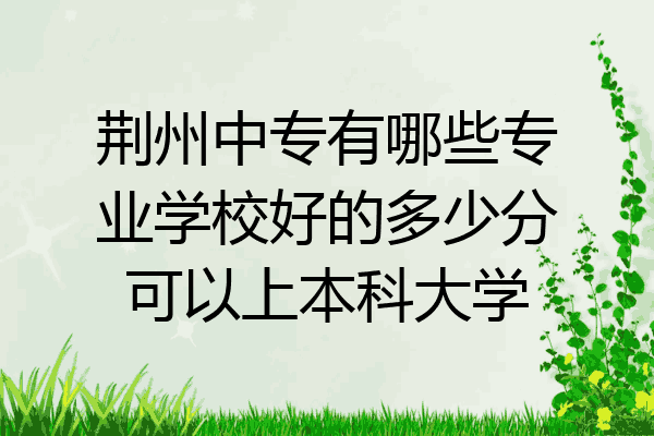 荆州中专有哪些专业学校好的多少分可以上本科大学