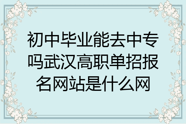 初中毕业能去中专吗武汉高职单招报名网站是什么网