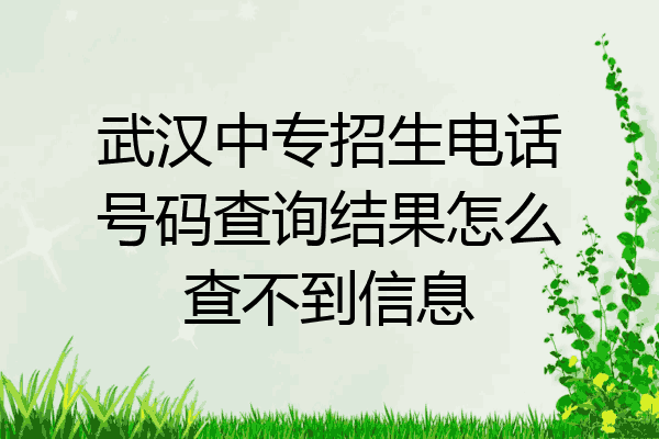 武汉中专招生电话号码查询结果怎么查不到信息