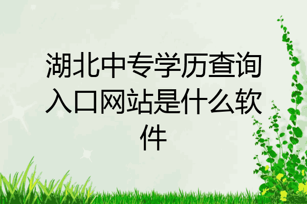 湖北中专学历查询入口网站是什么软件