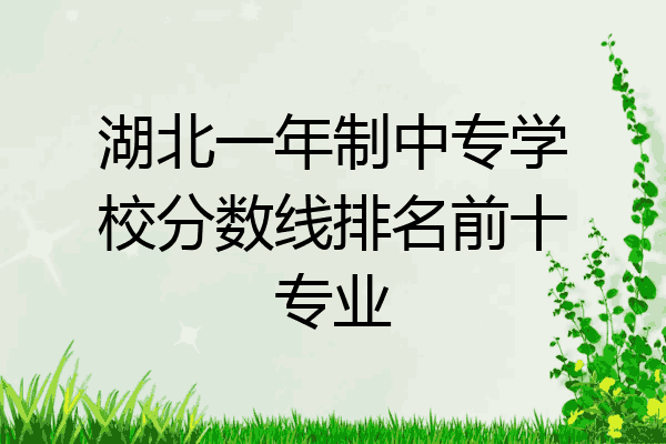 湖北一年制中专学校分数线排名前十专业
