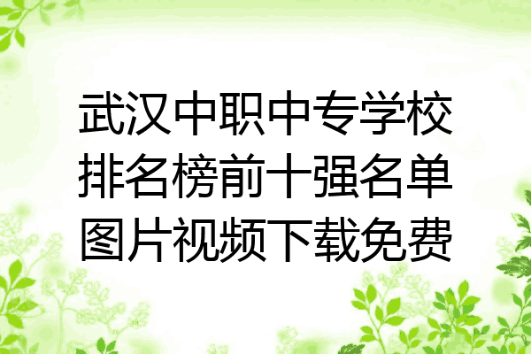 武汉中职中专学校排名榜前十强名单图片视频下载免费