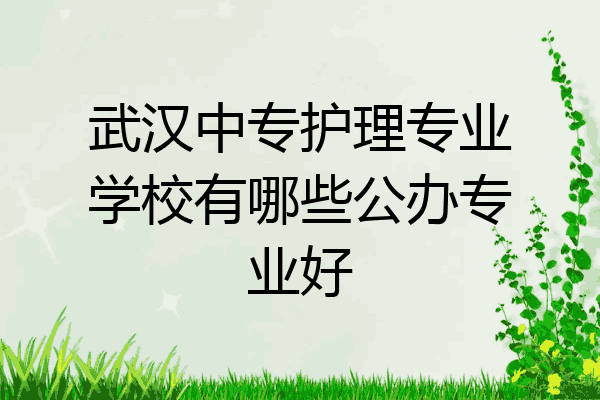 武汉中专护理专业学校有哪些公办专业好