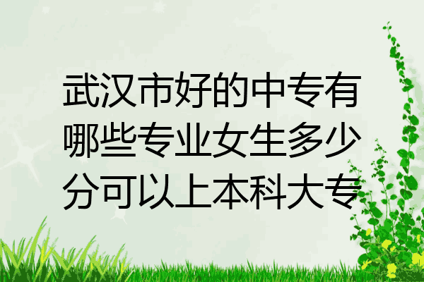 武汉市好的中专有哪些专业女生多少分可以上本科大专