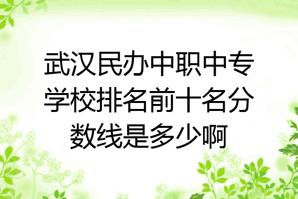 武汉民办中职中专学校排名前十名分数线是多少啊