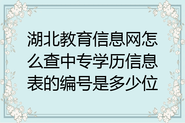 湖北教育信息网怎么查中专学历信息表的编号是多少位