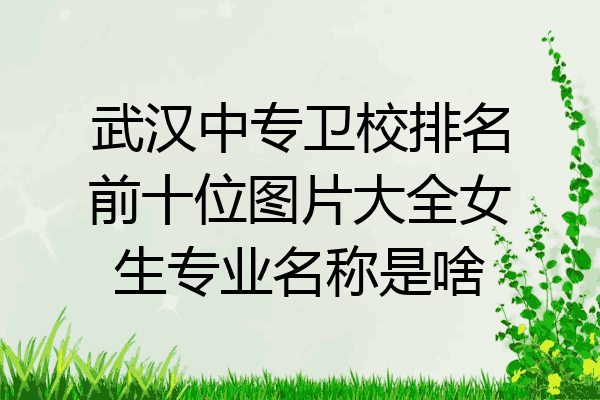 武汉中专卫校排名前十位图片大全女生专业名称是啥