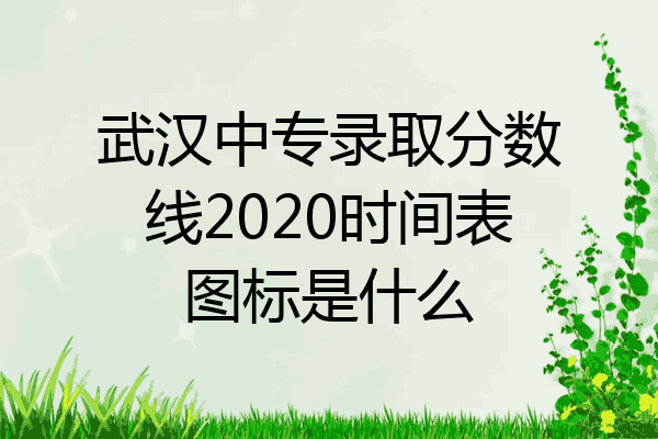武汉中专录取分数线2020时间表图标是什么