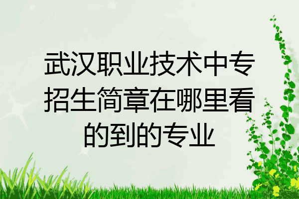 武汉职业技术中专招生简章在哪里看的到的专业