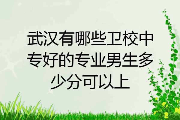 武汉有哪些卫校中专好的专业男生多少分可以上