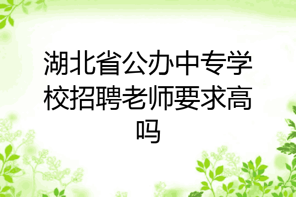 湖北省公办中专学校招聘老师要求高吗