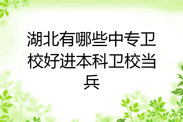 湖北有哪些中专卫校好进本科卫校当兵