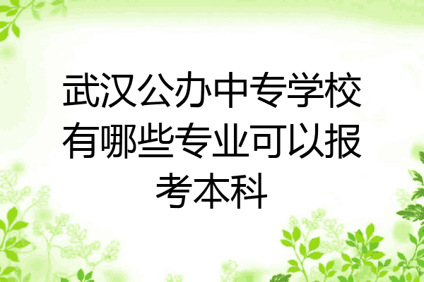 武汉公办中专学校有哪些专业可以报考本科
