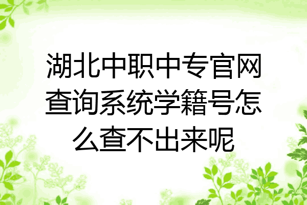 湖北中职中专官网查询系统学籍号怎么查不出来呢