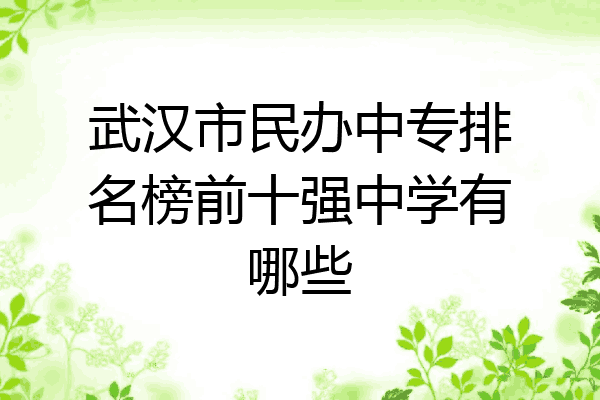 武汉市民办中专排名榜前十强中学有哪些