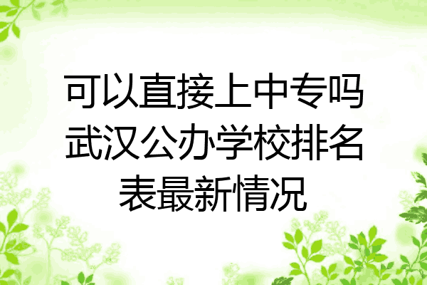 可以直接上中专吗武汉公办学校排名表最新情况