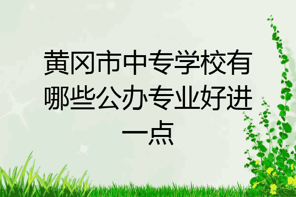 黄冈市中专学校有哪些公办专业好进一点