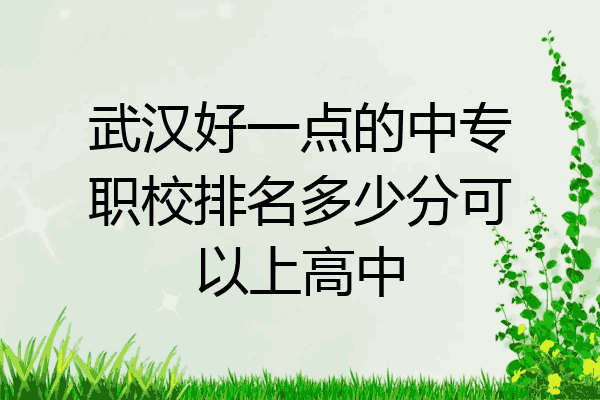 武汉好一点的中专职校排名多少分可以上高中