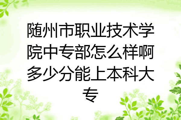 随州市职业技术学院中专部怎么样啊多少分能上本科大专