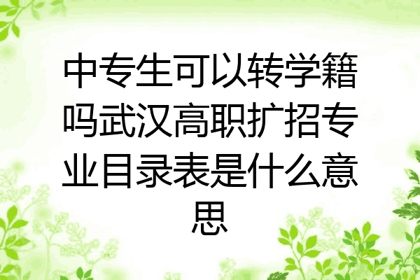 中专生可以转学籍吗武汉高职扩招专业目录表是什么意思