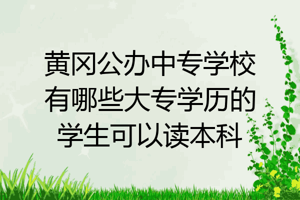 黄冈公办中专学校有哪些大专学历的学生可以读本科