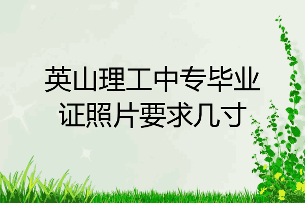 英山理工中专毕业证照片要求几寸