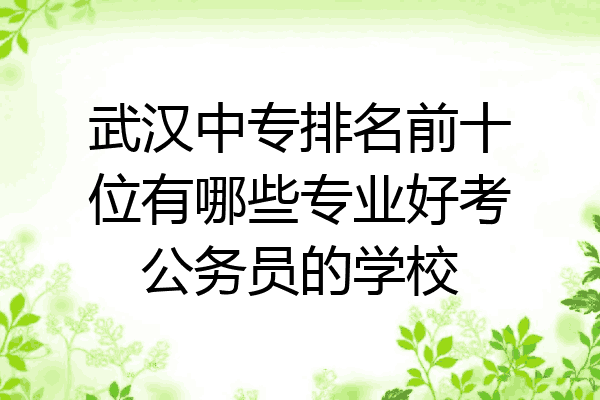 武汉中专排名前十位有哪些专业好考公务员的学校
