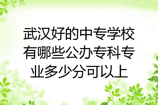 武汉好的中专学校有哪些公办专科专业多少分可以上