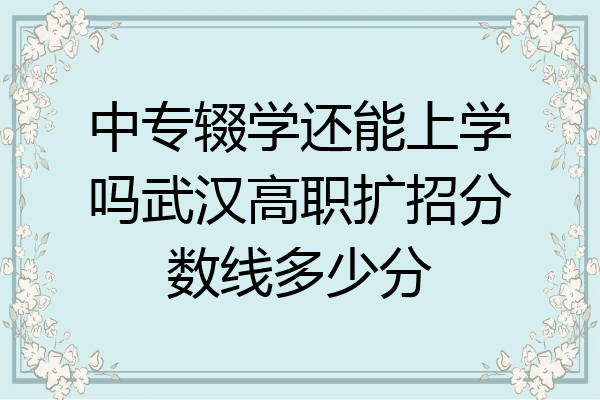 中专辍学还能上学吗武汉高职扩招分数线多少分