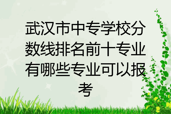 武汉市中专学校分数线排名前十专业有哪些专业可以报考