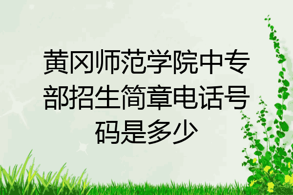 黄冈师范学院中专部招生简章电话号码是多少