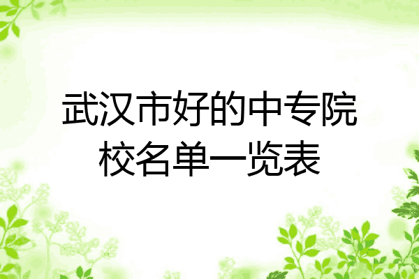 武汉市好的中专院校名单一览表
