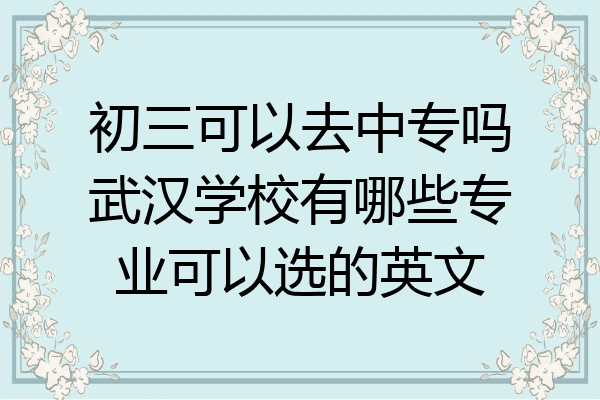 初三可以去中专吗武汉学校有哪些专业可以选的英文