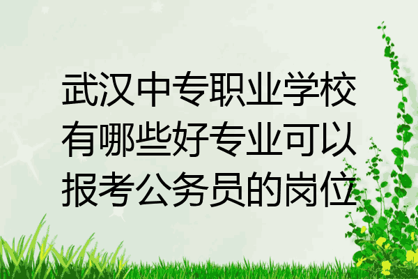 武汉中专职业学校有哪些好专业可以报考公务员的岗位