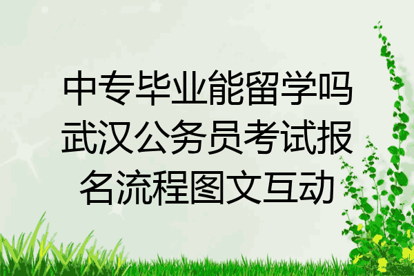 中专毕业能留学吗武汉公务员考试报名流程图文互动