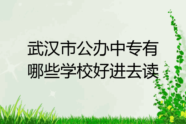 武汉市公办中专有哪些学校好进去读